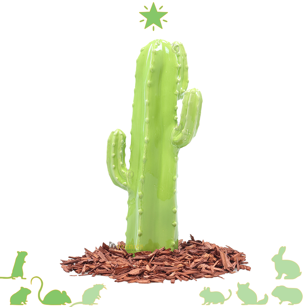 Cactus in zomer scape - decoratie artikelen