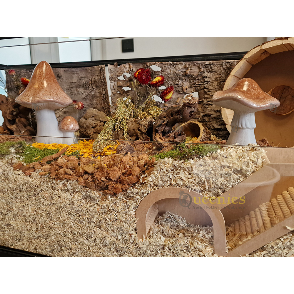 Herfst hamsterscape met Paddenstoelen