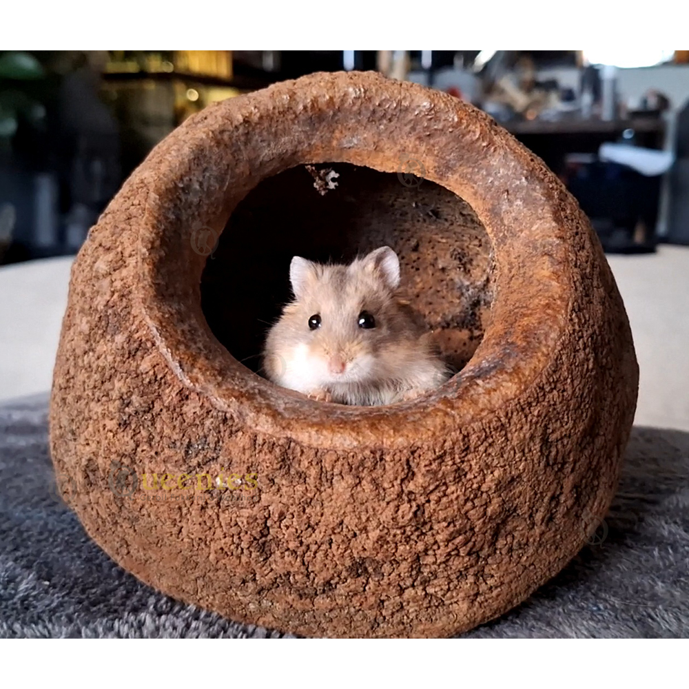 Hamsterhut - grote kokosnoot voor hamsters