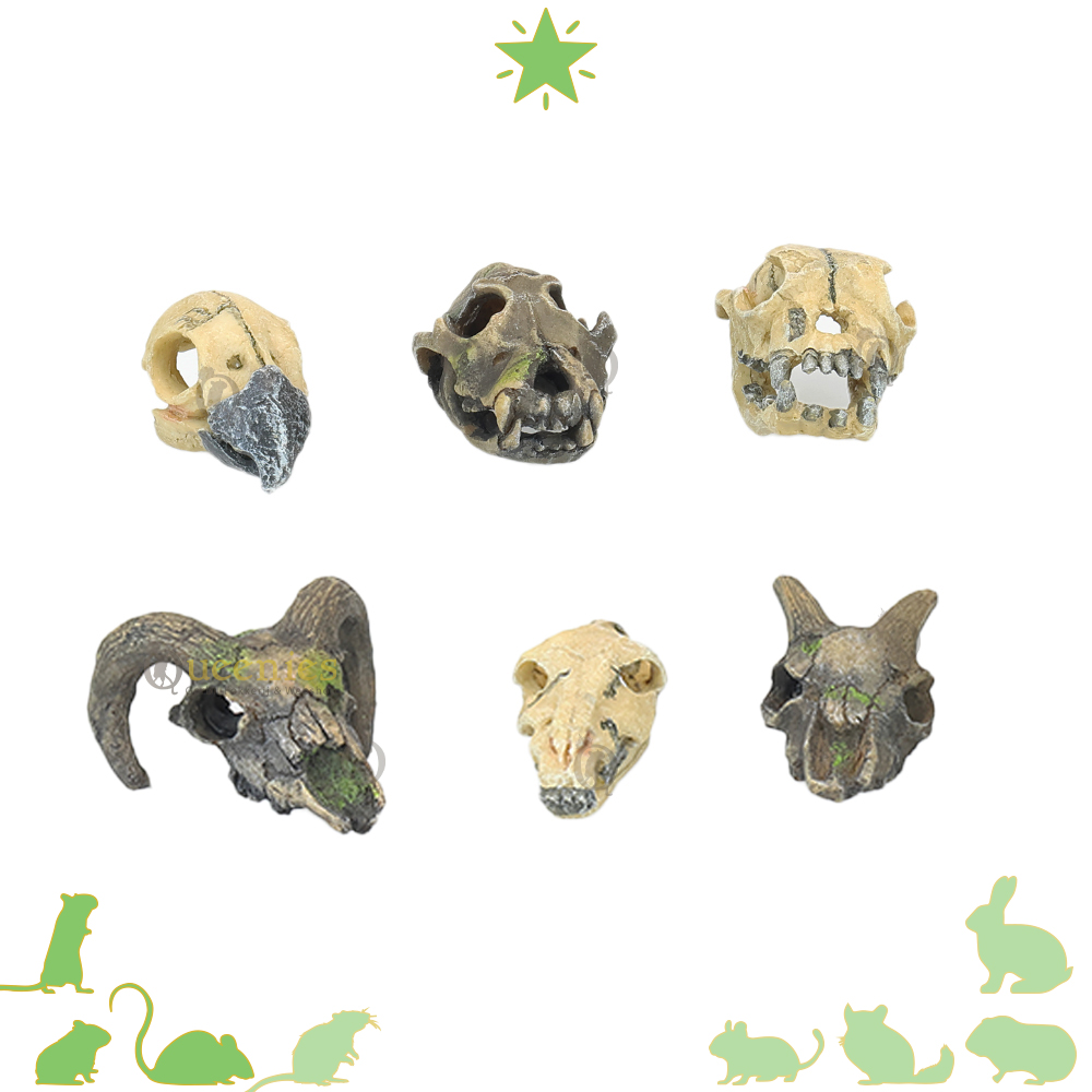 Mini skulls voor Hamsterscaping