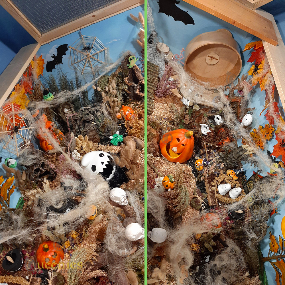 Halloween decoratie artikelen voor Hamsters