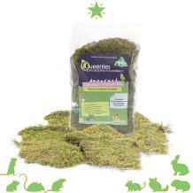 Gedroogd terrarium Mos 200 gram