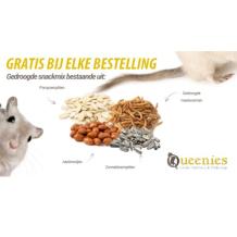 Gratis snack bij iedere bestelling!