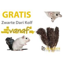 GRATIS proefverpakking Zwarte Dari Kolf