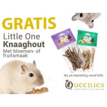 Gratis Proefmonster knaaghout snack Little One