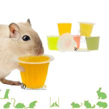 Gerbil met een fruitcup