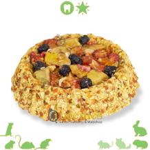 JR Farm Knaagdieren Fruitcake 80 gram