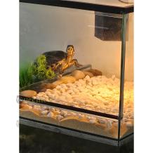 Gebruikt waterschildpadden terrarium met schuifruiten en eiland - 80x40x55