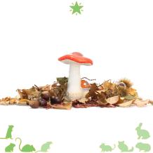 Rood-met-witte keramische paddenstoel in herfstdecor met bladeren en kastanjes