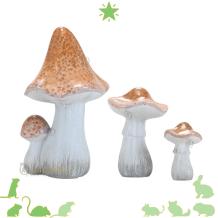 Paddenstoelen voor Hamsterscaping