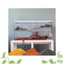 Terrarium zand voor knaagdieren in gerbilarium