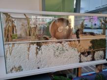 In nieuwstaat Hamster Terrarium met witte profielen