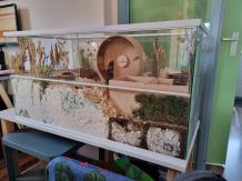 Tweedehands wit 100x45x50 Hamster Terrarium