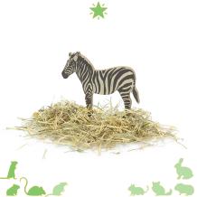 Zebra decoratie - Jungle Hamsterscape